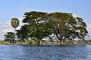 DSC_4562_tn