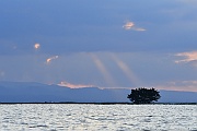 DSC_4705_tn