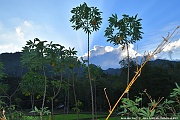 DSC_5113_tn