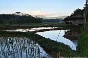 DSC_5115_tn