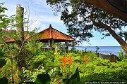 DSC_5750_tn